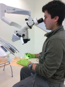 nicolas mora microscopio endodoncia